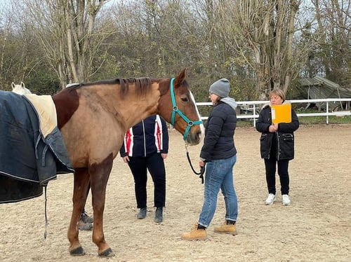 Cours-pratique-osteopathie-animale-IFOA-Grand-Paris Cours-pratique-osteopathie-animale-IFOA-Grand-Paris