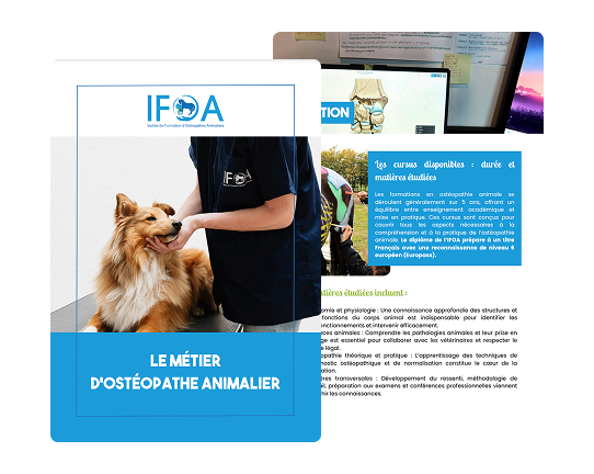 guide-ifoa-2 guide-ifoa-2